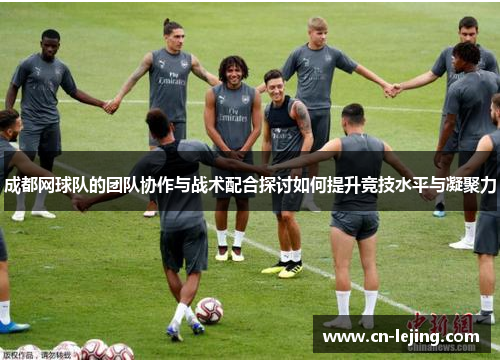 成都网球队的团队协作与战术配合探讨如何提升竞技水平与凝聚力