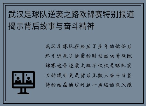 武汉足球队逆袭之路欧锦赛特别报道揭示背后故事与奋斗精神