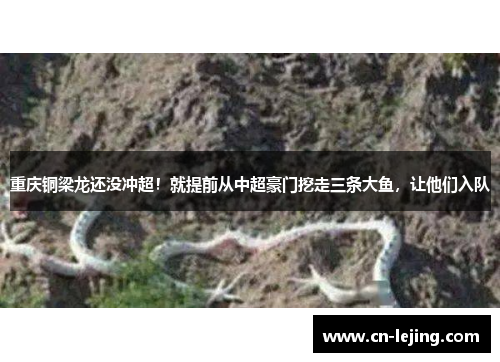 重庆铜梁龙还没冲超！就提前从中超豪门挖走三条大鱼，让他们入队